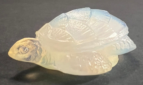 Sabino opalescent sea turtle - sabino,